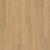 Essential Oak